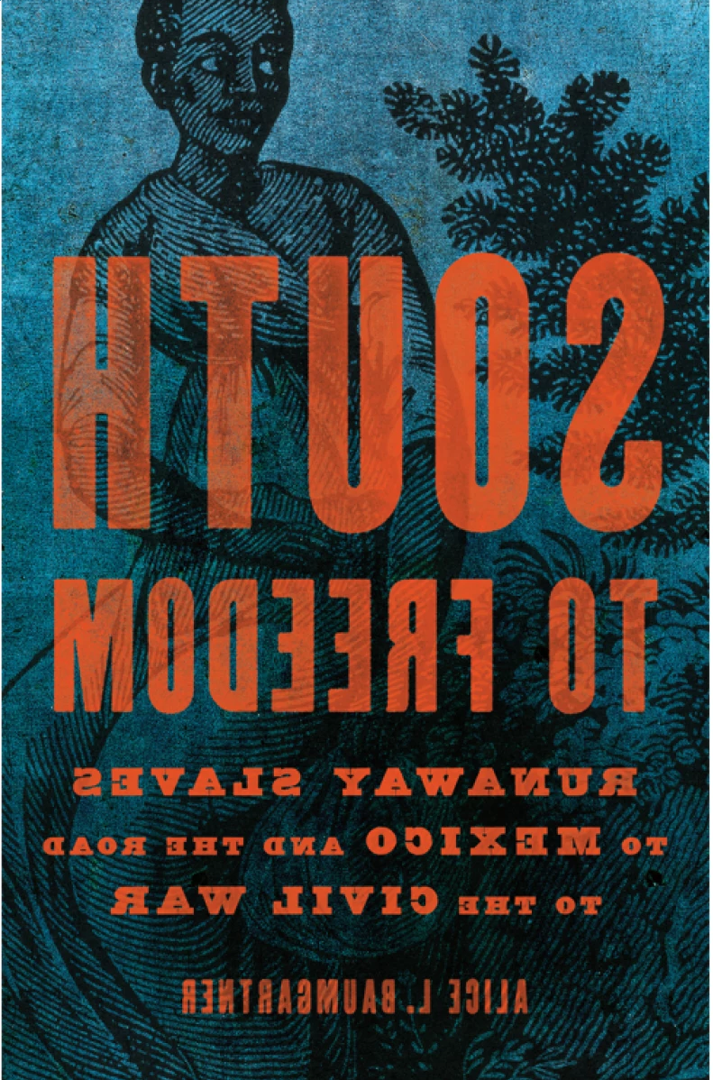 South to Freedom: Runaway Slaves to Mexico and the Road to the Civil War