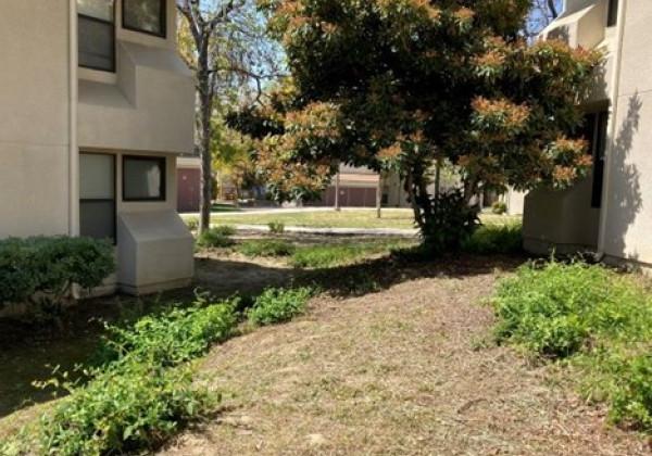 Garden Located behind CAL State LA  Housing